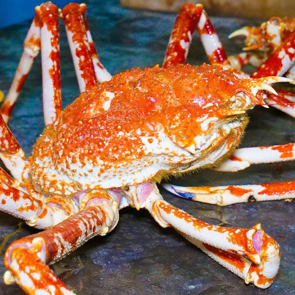 Cua nhện giá tốt 
