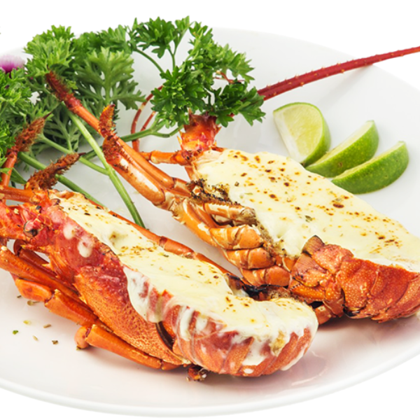 Tôm hùm xanh giá sỉ